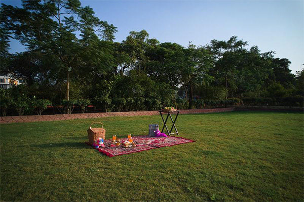 Sunset picnic setup on the lawn